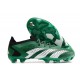 Adidas Predator Accuracy .1 L FG Verde Bianco